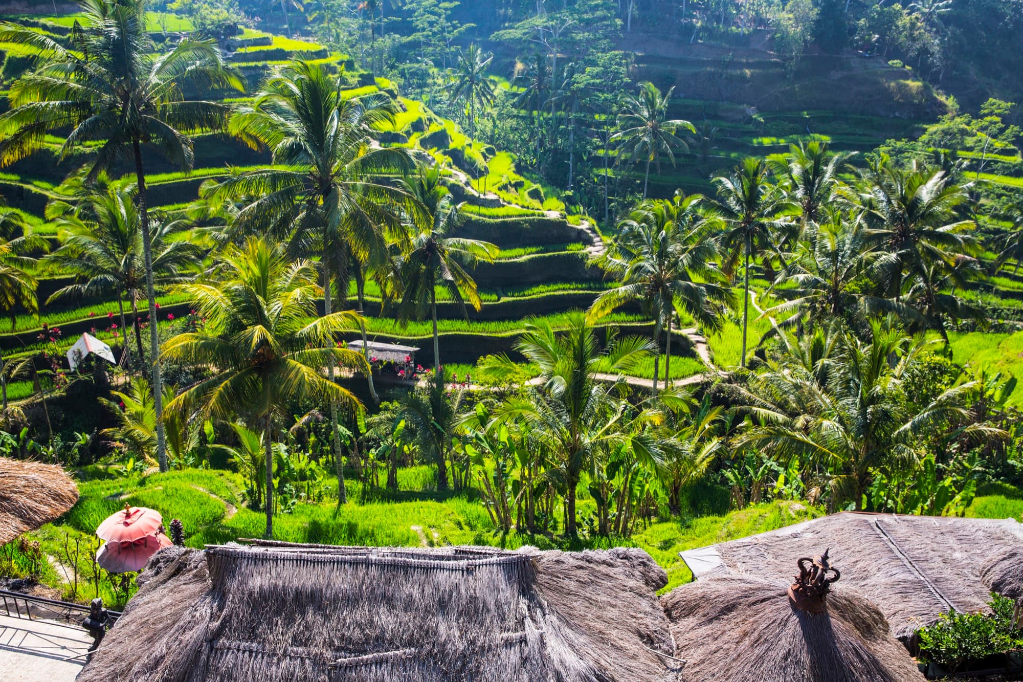 Ubud Highlights
