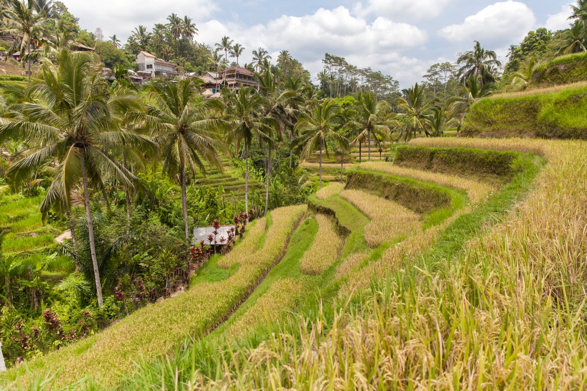 Ubud Highlights destination